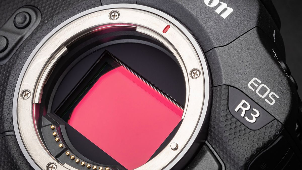Canon EOS R3 zrobi 195 kl./s. Wystarczy jedna aktualizacja oprogramowania 1