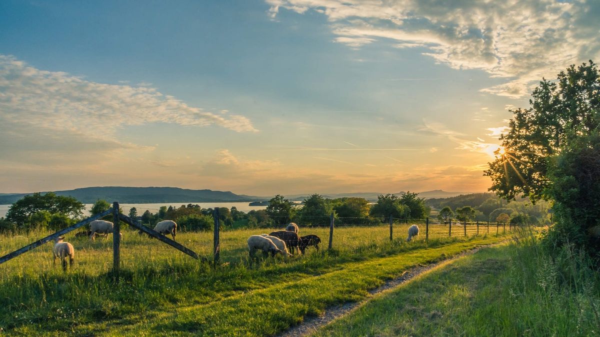 Wypalanie traw. ARiMR przypomina, jakie kary grożą za to rolnikom.