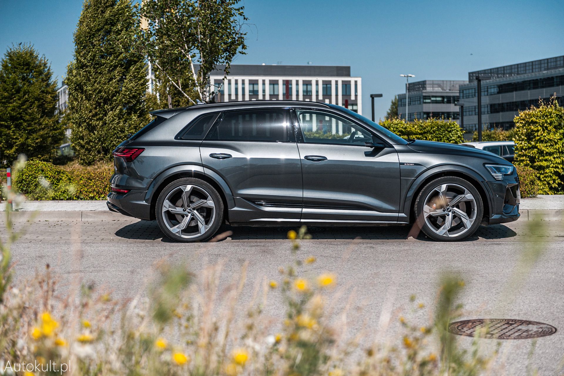 Zdjęcie ilustracyjne do artykułu