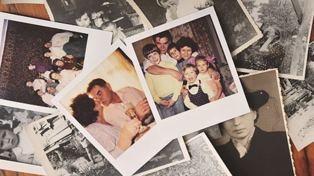 Jak stworzyć drzewo genealogiczne?