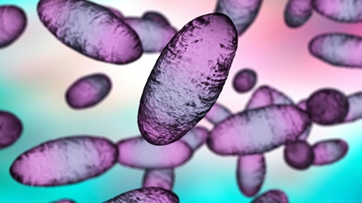 W stanie Kolorado doszło do przypadku dżumy, zarażona była wiewiórka 