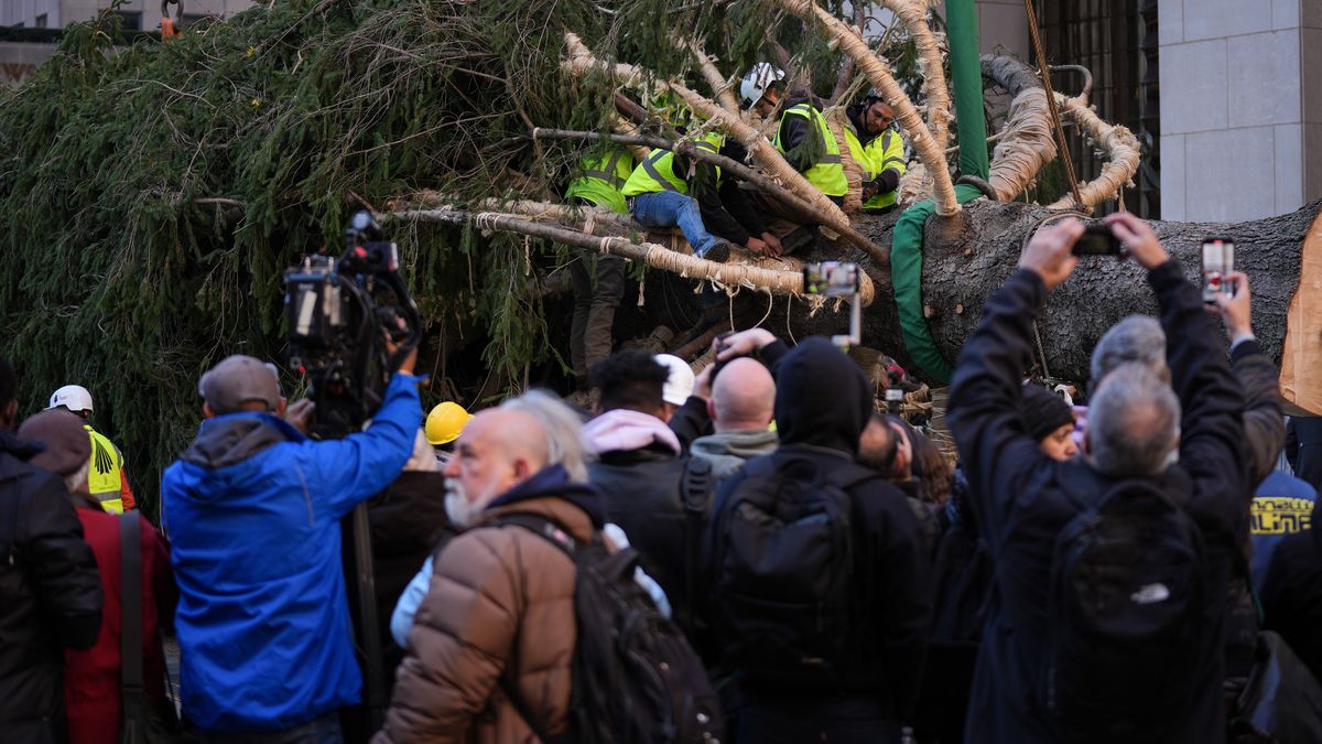 Świąteczne drzewko już pod Rockefeller Center