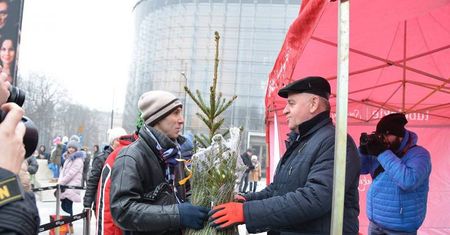 Marszałek rozda mieszkańcom choinki. Wystarczy przynieść żywność
