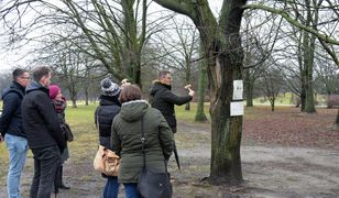 Warszawa. Karta Praw Drzew. Będzie obowiązek informowania o wycince