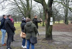 Warszawa. Karta Praw Drzew. Będzie obowiązek informowania o wycince