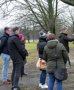Warszawa. Karta Praw Drzew. Będzie obowiązek informowania o wycince