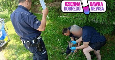 Znaleźli ją przy drodze. Nie mogła chodzić. "Historia zakończyła się szczęśliwie"