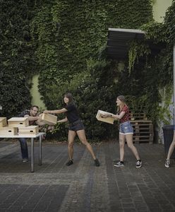 Wrocław. Darmowe budki dla jerzyków. Tak zabezpieczysz się przed komarami