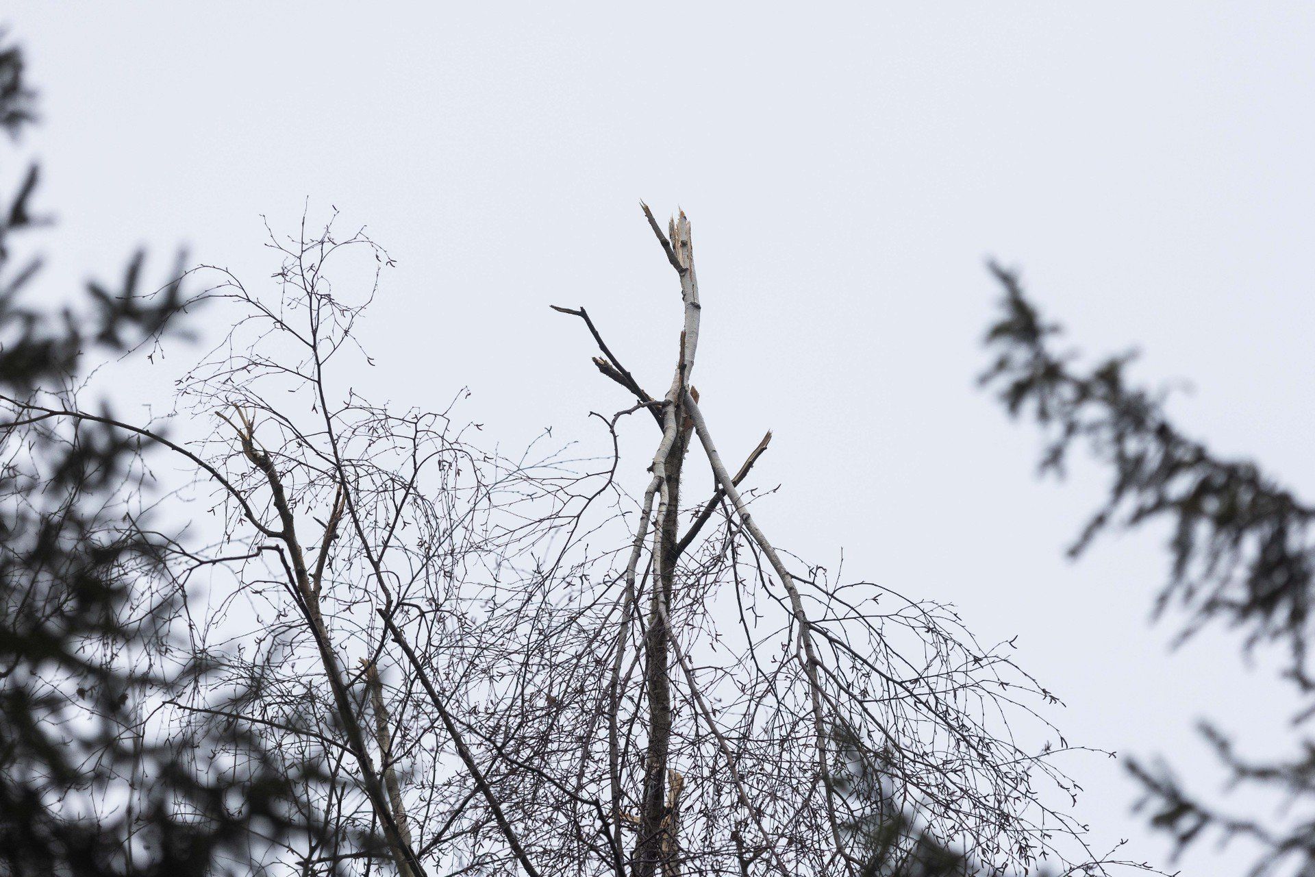 Trwa wyjaśnianie okoliczności tragedii w Cierpiszu