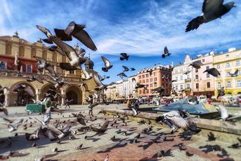 Atrakcja i zmora miasta. "Mieszkańcy sygnalizują coraz poważniejsze trudności"
