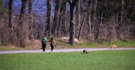 Przyjdź, poznaj, adoptuj. Wyjątkowy spacer w Płocku