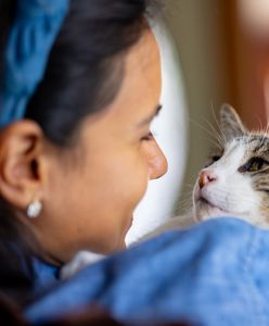 Merdający ogon zamiast partnera – w sytuacjach stresowych wolimy spędzać czas ze swoimi zwierzętami