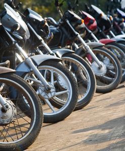 Rekordowa sprzedaż w Polsce. Mamy jedną ulubioną markę