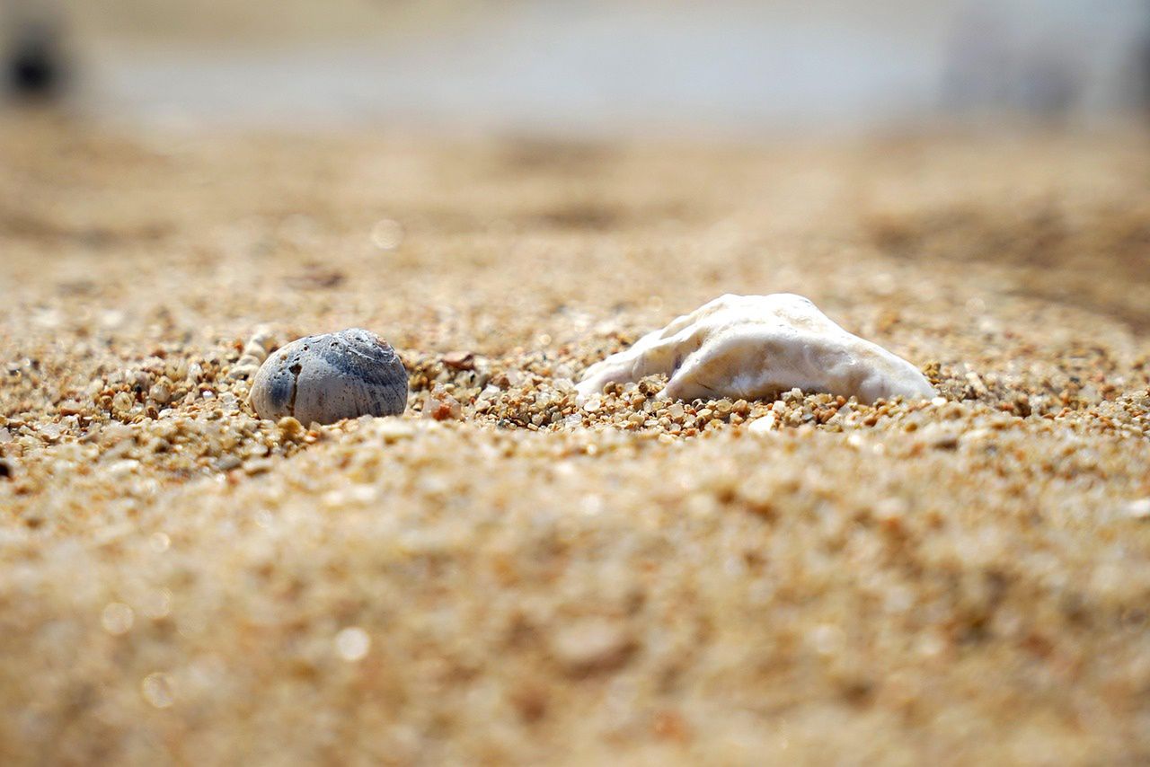 Pierwszy weekend nowego kąpieliska pod Tarnowem