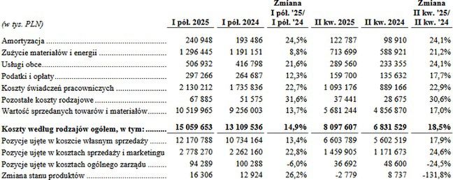 Wyniki Dino Polska w 2025 r.