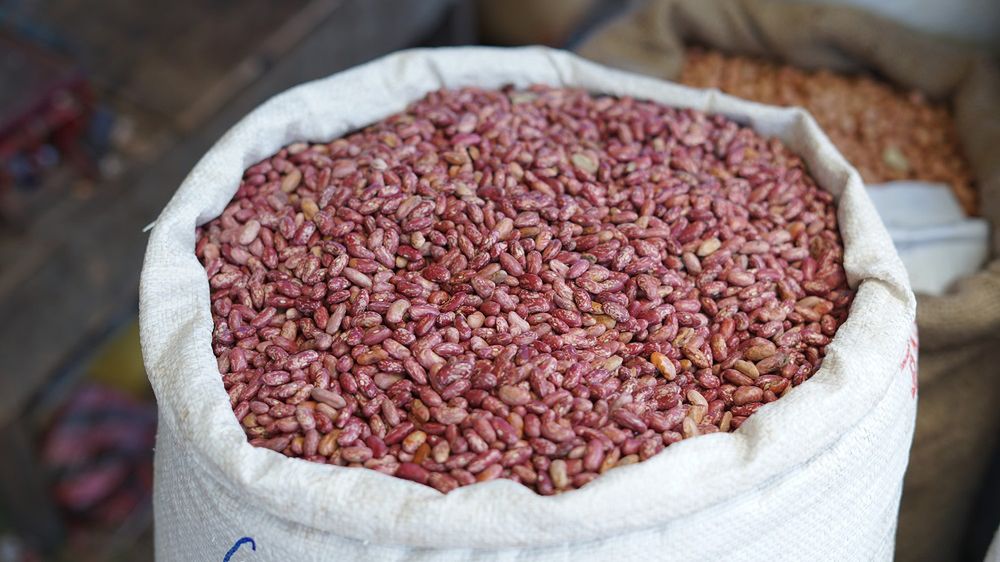 Jakie właściwości ma fasola pinto?