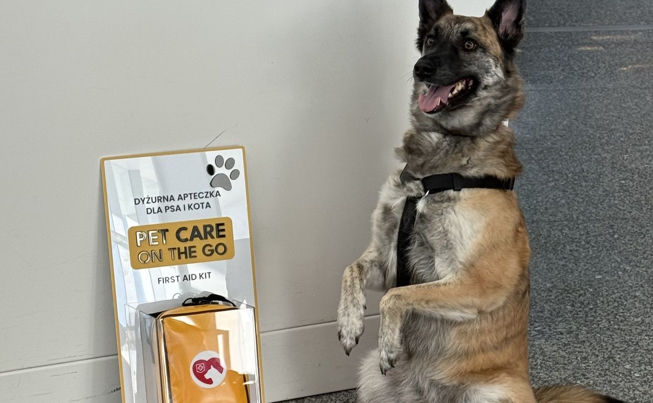 Nowość na lotnisku Chopina. To ukłon w stronę zwierząt