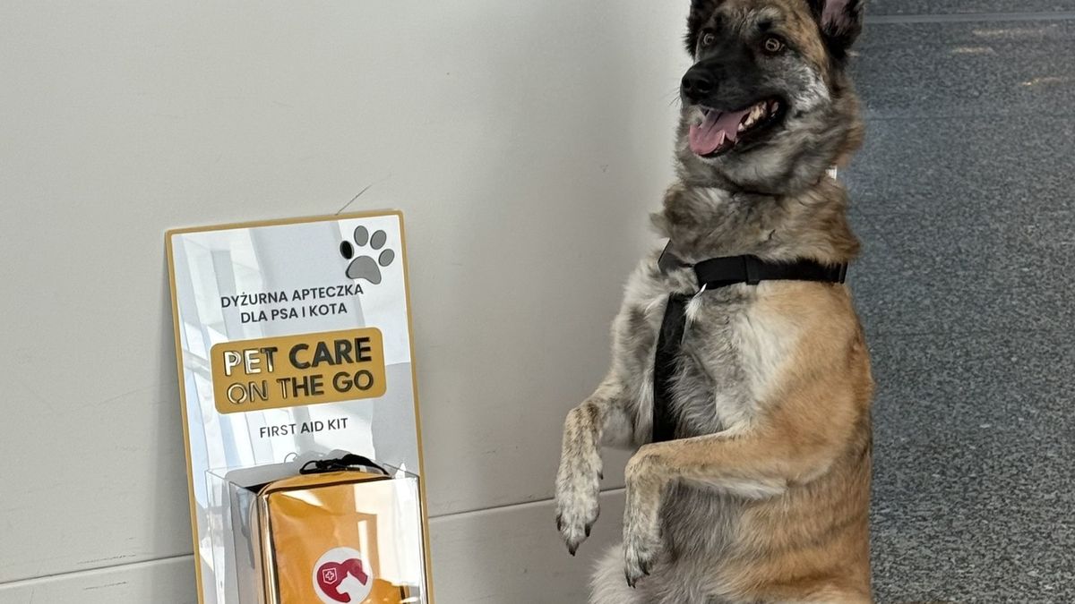 Lotnisko Chopina wprowadza apteczki dla zwierząt
