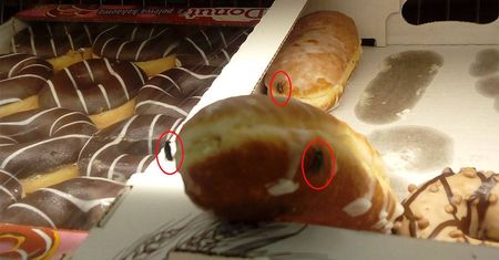 Muchy i mrówki na pączkach i donutach w popularnej sieci sklepów [ZDJĘCIA]