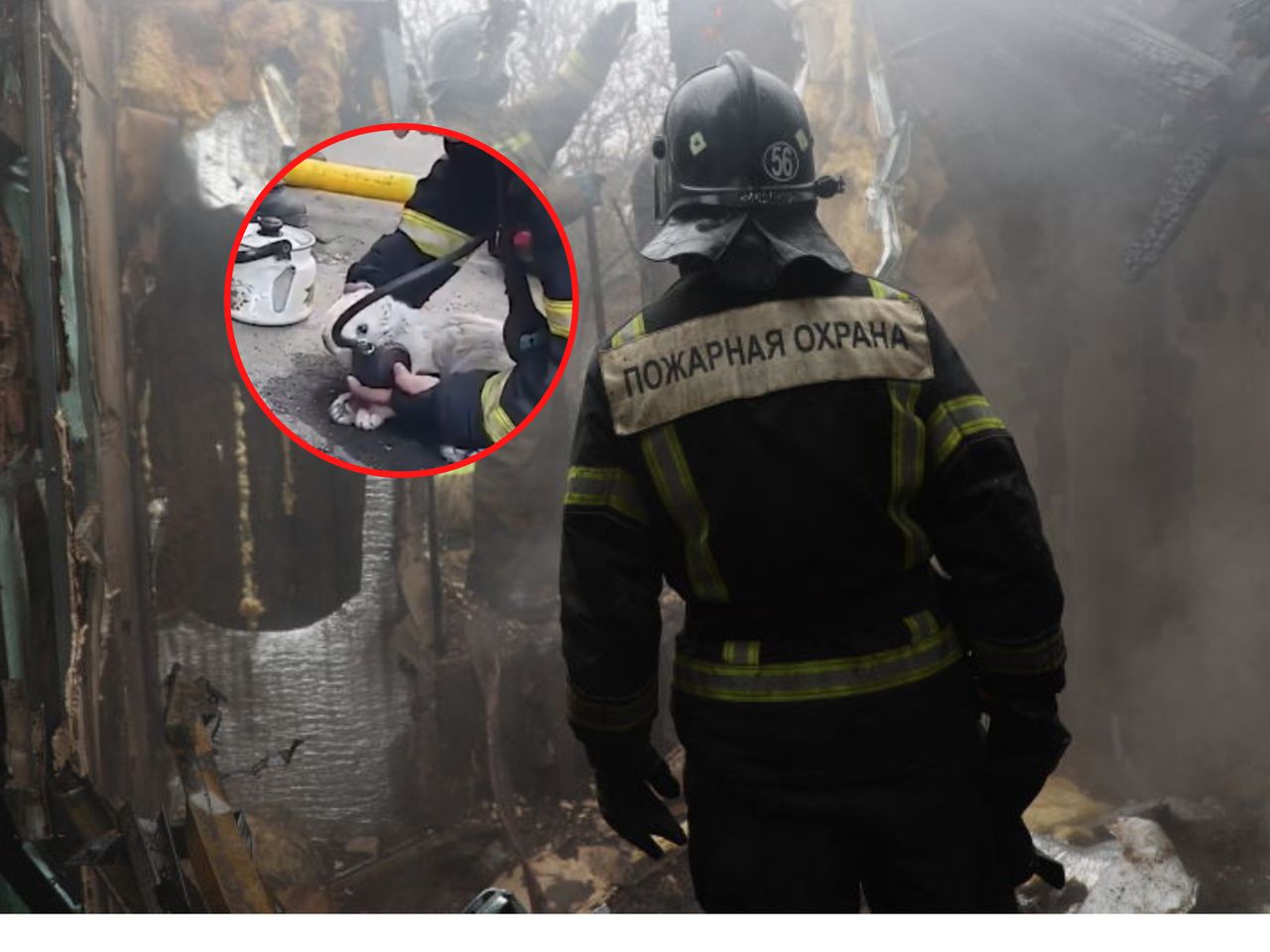 Ukraińscy strażacy uratowali kota z płonącego budynku. Akcję uwieczniono na nagraniu