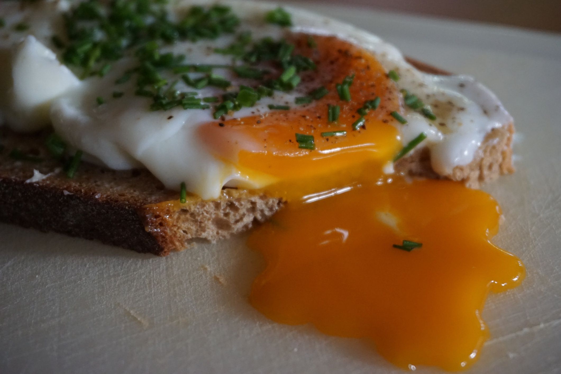 Sandwich With Egg And ChivesMatthias Häberlein / EyeEmNo People, Indoors, Day, Close-Up, Selective Focus, Food, Breakfast, Ready-To-Eat, Serving Size, Animal Egg, Chives, Sandwich