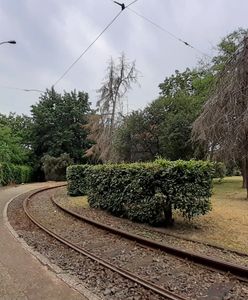 Wrocław. Nie będzie zajezdni na Nowych Żernikach. Miastu zabrakło pieniędzy