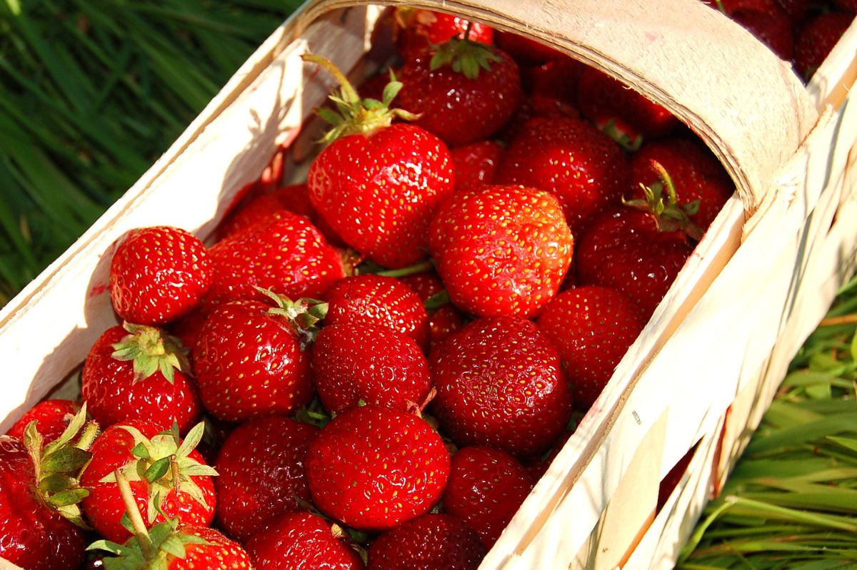 Wybieraj tylko te truskawki w sklepie. Będą słodkie i soczyste
