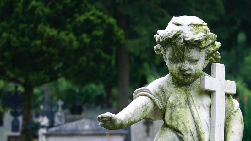 Urodziły się martwe, ale przeżyły. Wzruszające historie dzieci