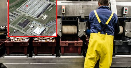 Niemiecka fabryka polskiego giganta może stanąć. Niemcy nie chcą pracować za "polskie stawki"