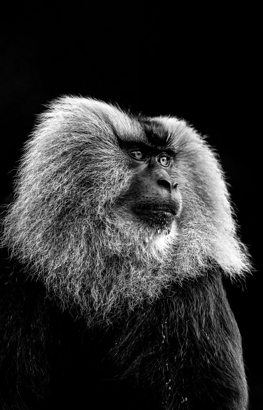 Największy konkurs fotograficzny świata na finiszu, a już zgłoszono mnóstwo świetnych zdjęć 2