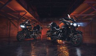 Wyścigowe dziedzictwo zaklęte w lakierze. Harley-Davidson prezentuje malowanie Apex