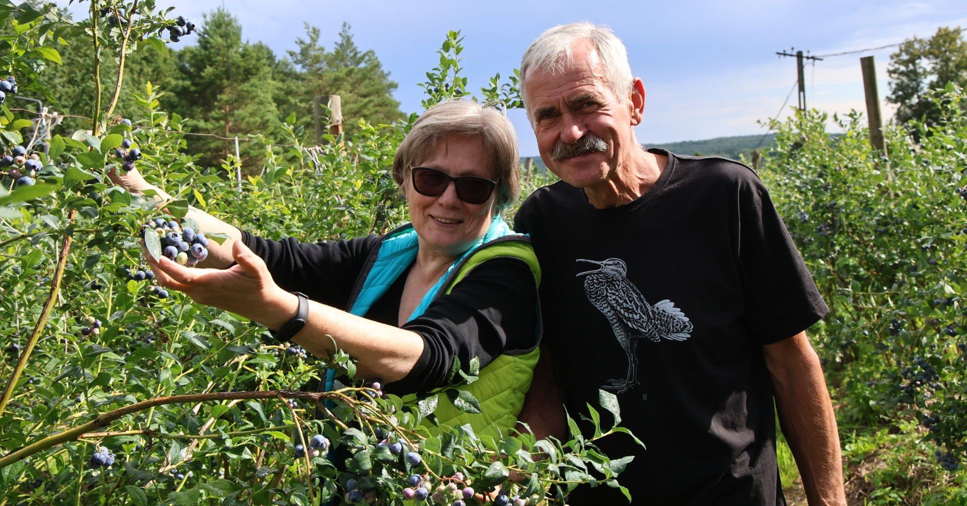 Gabriela i Krzysztof Królowie z Brześcia koło Bliżyna prowadzą najstarszą w Świętokrzyskiem plantację borówek amerykańskich.