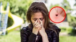 Najgorzej jest na Śląsku i wschodzie. Pik zachorowań będzie po majówce