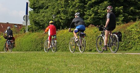 Nie ustąpił pierwszeństwa. Rowerzysta uderzył w drzewo