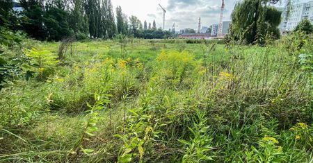 Wrocław. Jak urządzić Park Krzycki? Ruszają konsultacje
