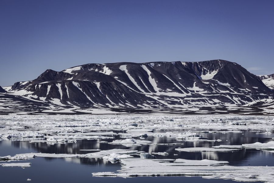 Katastrofalne wieści z Grenlandii. Badacze nie mają już złudzeń