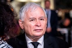 Jarosław Kaczyński nie musi obawiać się ziółek. Lekarz o praktykach prezesa PiS