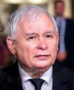 Jarosław Kaczyński nie musi obawiać się ziółek. Lekarz o praktykach prezesa PiS