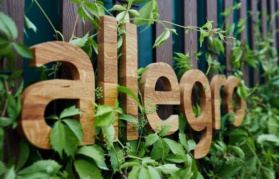 Allegro mocno rośnie w dostawach, reklamach i pożyczkach. Więcej kupujących w Polsce