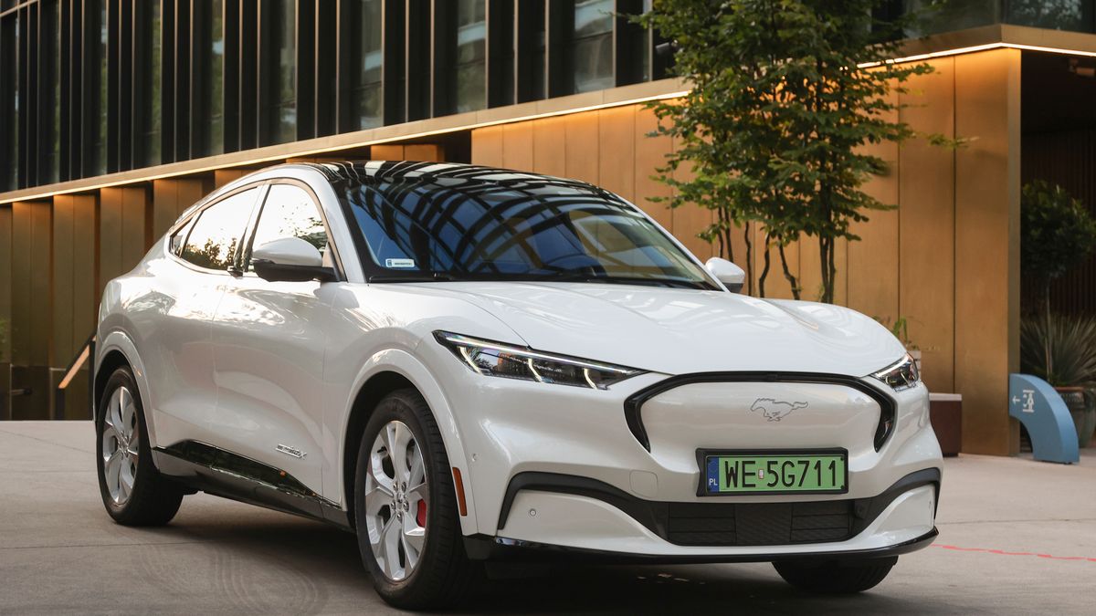 Zdjęcie ilustracyjne do artykułu