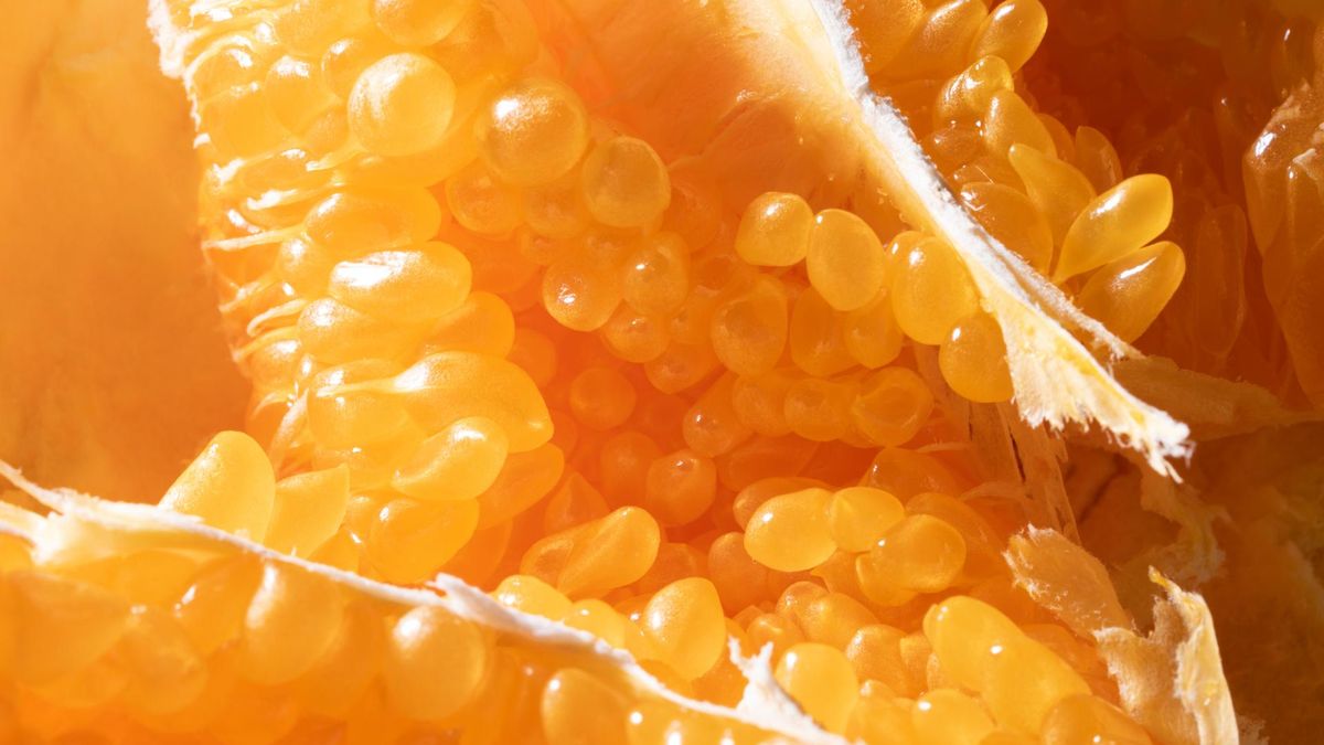 Już jedna pomarańcza może w 100 proc. pokryć dzienne zapotrzebowanie na witaminę C