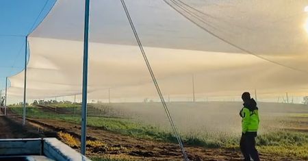 Poranne podlewanie pola. Nagranie z Australii