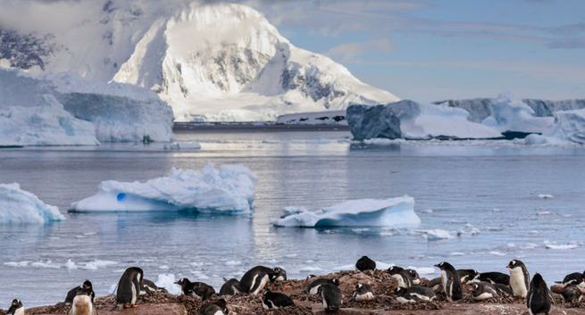 Topnienie Antarktydy może przyspieszyć