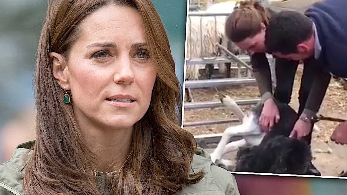 Film z księżną Kate uznany przez Instagram za zawierający treści kontrowersyjne – prawdopodobnie zareagowali obrońcy praw zwierząt. Będzie skandal!? [WIDEO]