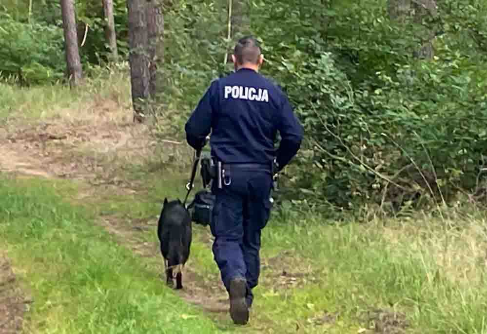 Słubice: W lesie zaginęła 68-latka. Został ogłoszony alarm