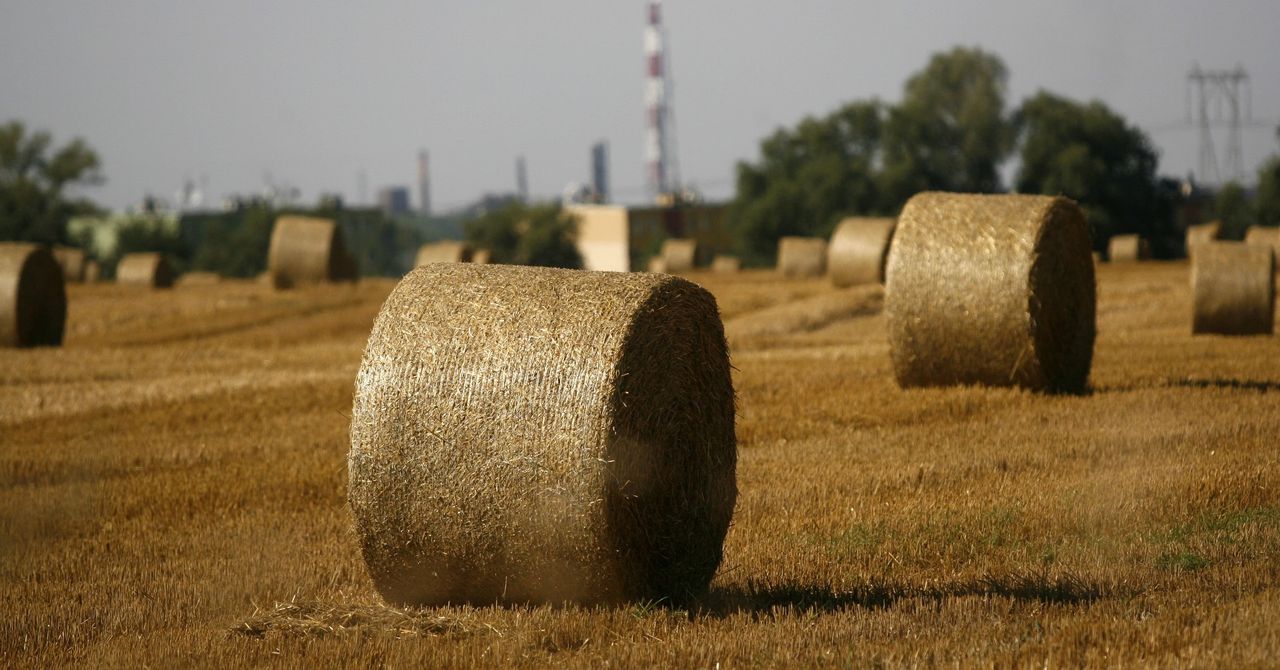 Więcej pieniędzy na ONW, mniej dla młodych rolników