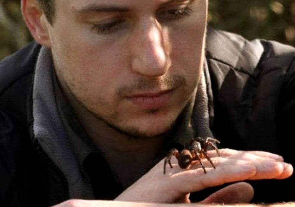 Odkrycie w Australii. Poznano nowy gatunek niebezpiecznego pająka