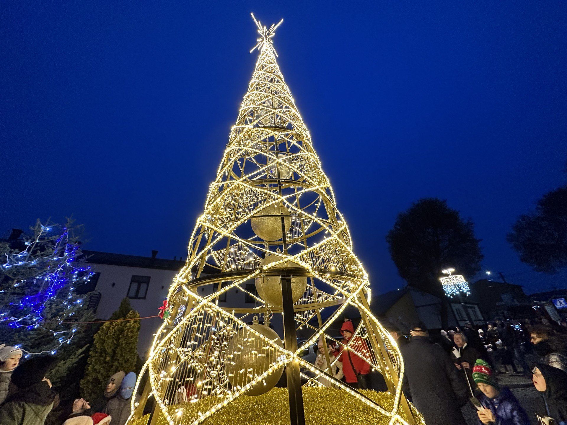 Na rynku rozświetlono choinkę