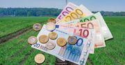 Dopłaty dla rolników po 2028 r. zagrożone? KRIR ostrzega rząd