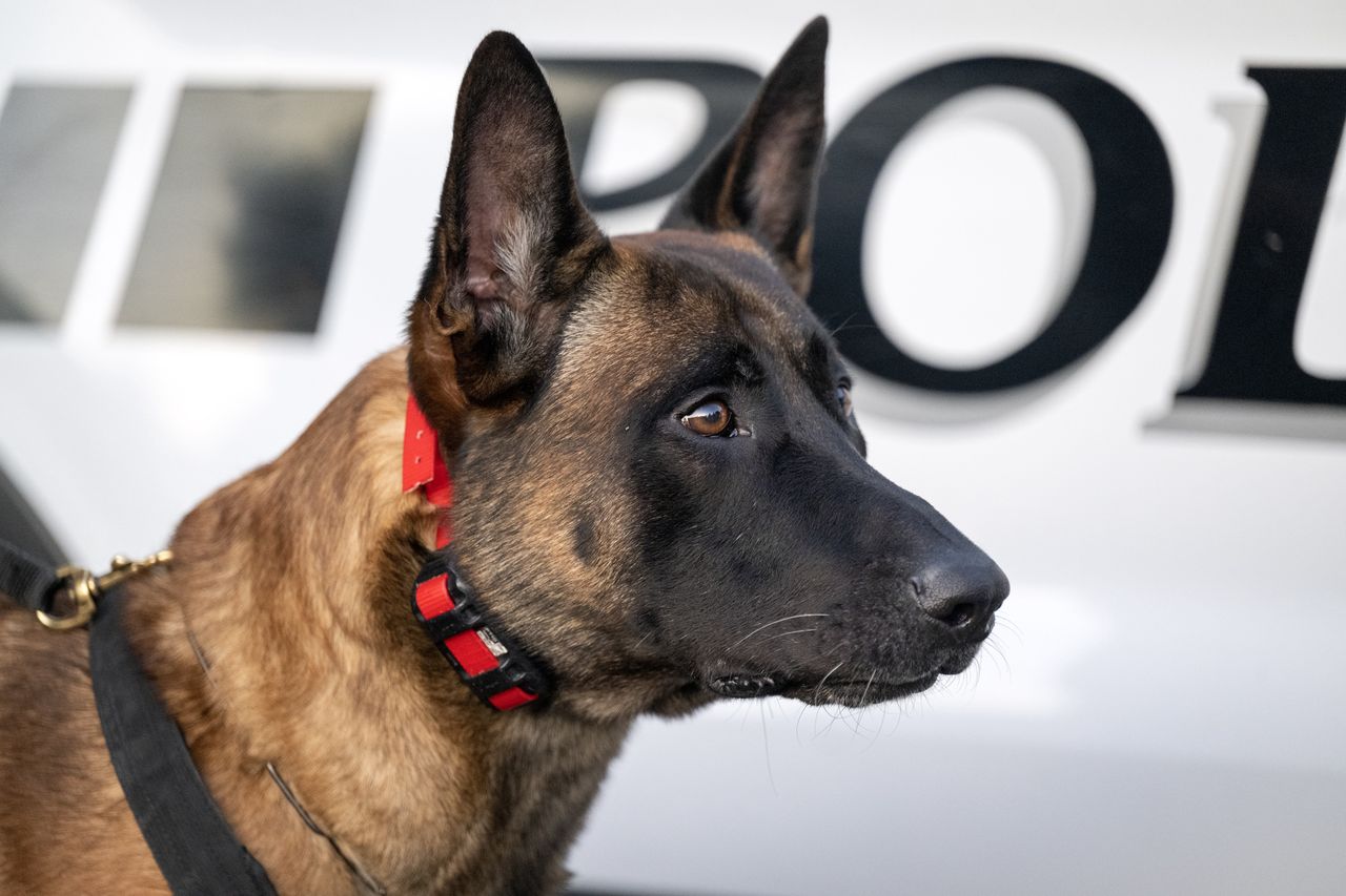 Kansas takes a stand: Tougher penalties for attacks on police dogs